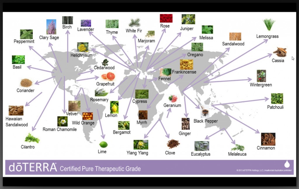 doterra sourcing